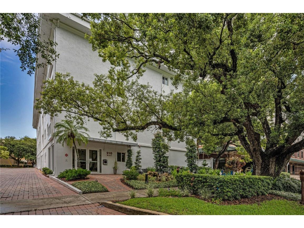 210 5th Avenue S #203 Saint Petersburg FL 33701 TB8420092 image1