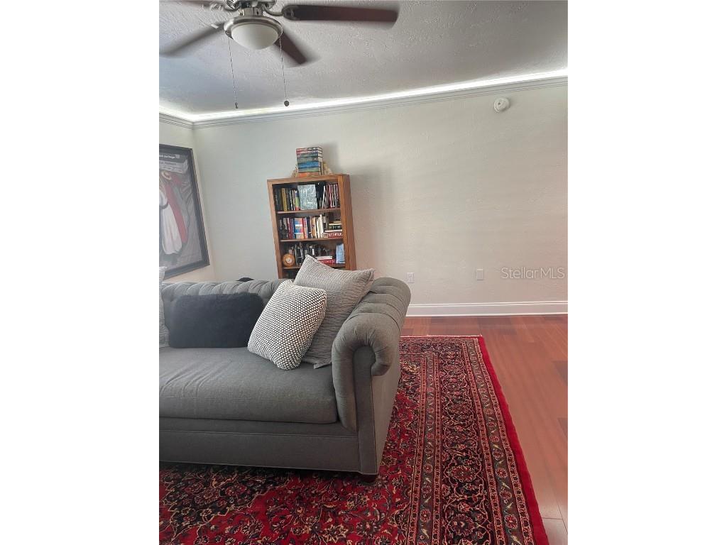 210 5th Avenue S #209 Saint Petersburg FL 33701 TB8391677 image19