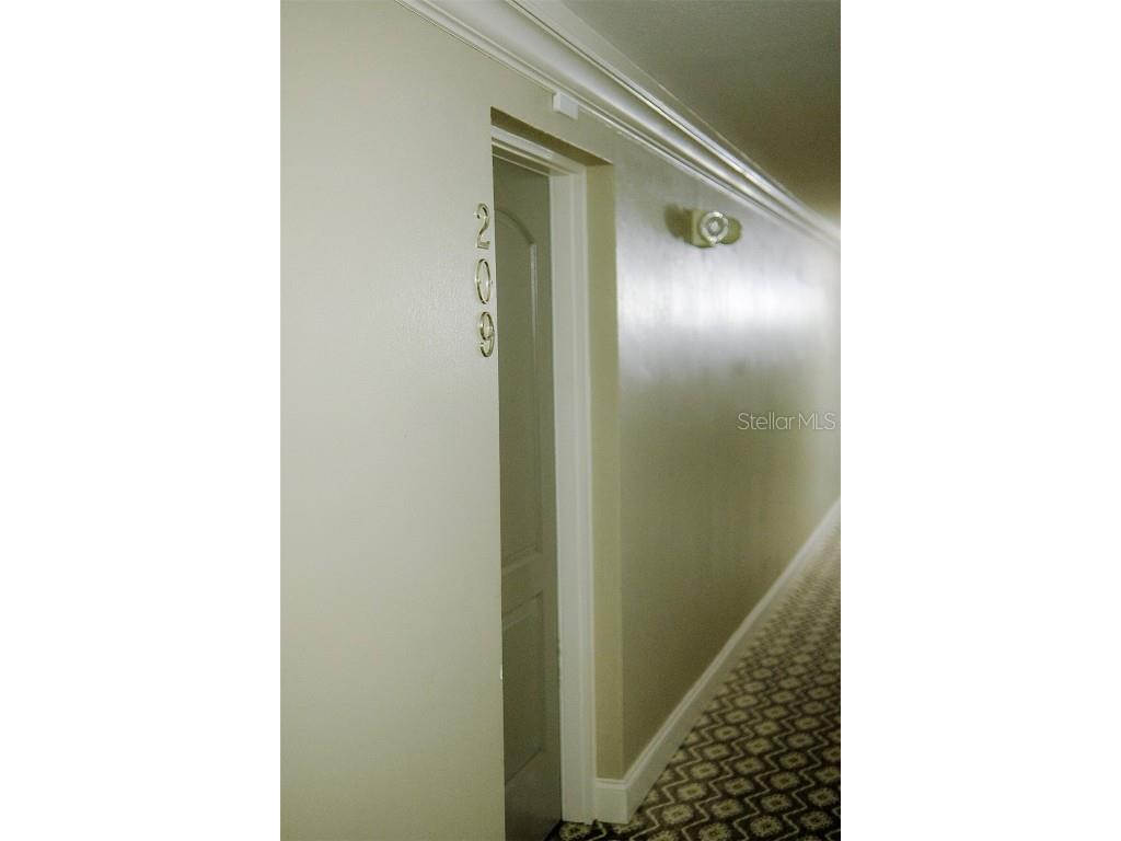 210 5th Avenue S #209 Saint Petersburg FL 33701 TB8391677 image42