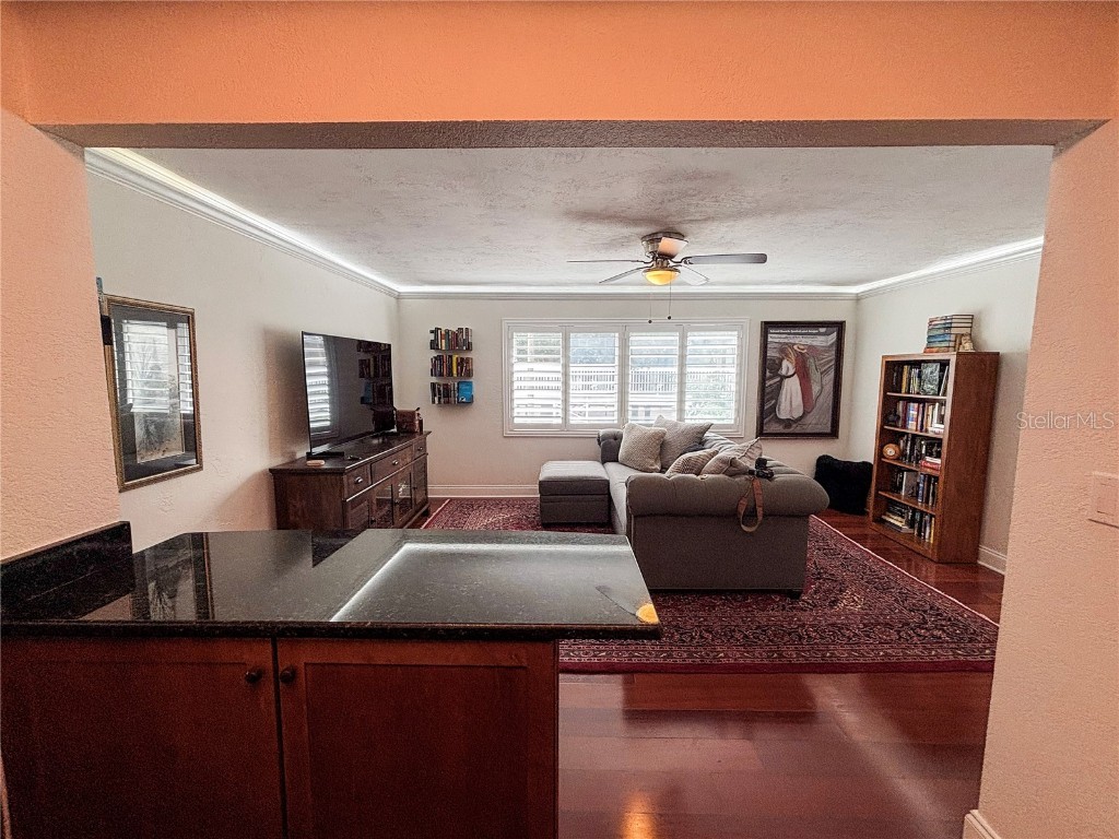 210 5th Avenue S #209 Saint Petersburg FL 33701 TB8391677 image7