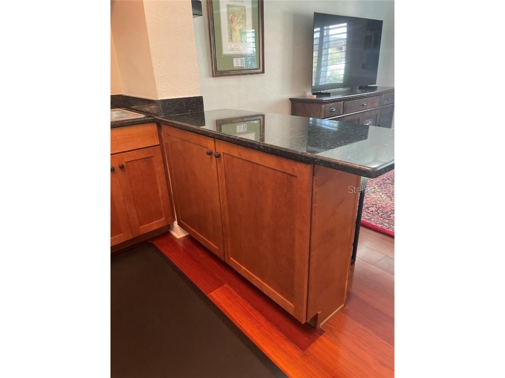 210 5th Avenue S #209 Saint Petersburg FL 33701 TB8391677 image8