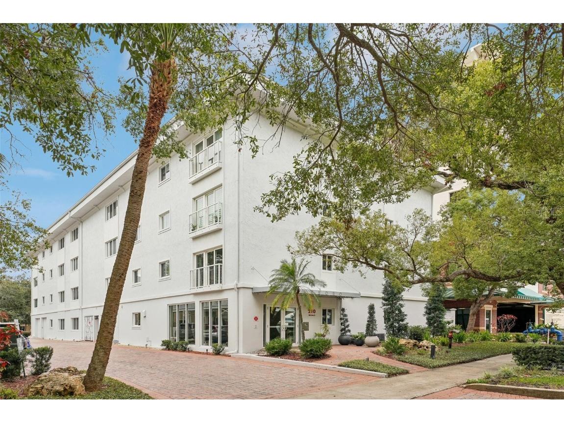 210 5th Avenue S #307 Saint Petersburg FL 33701 TB8343776 image1