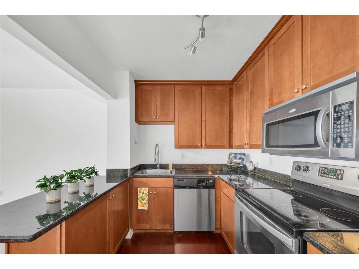 210 5th Avenue S #402 Saint Petersburg FL 33701 - TAMPA BAY TB8449429 image13