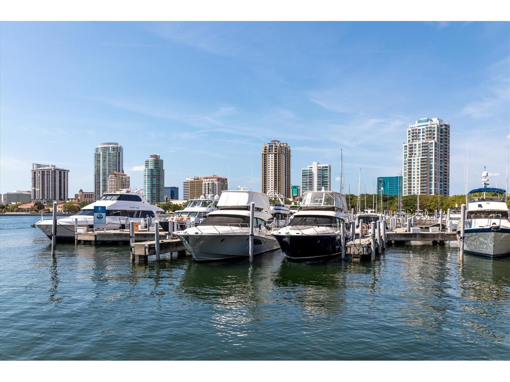 210 5th Avenue S #403 Saint Petersburg FL 33701 - TAMPA BAY TB8449756 image32
