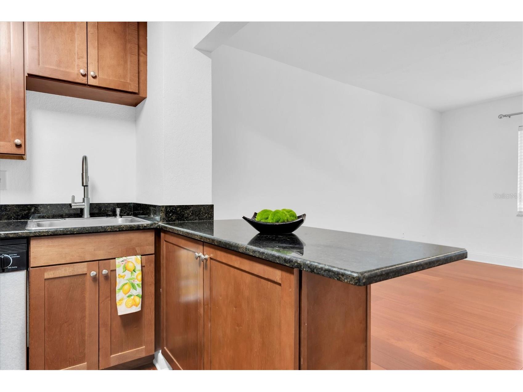 210 5th Avenue S #403 Saint Petersburg FL 33701 - TAMPA BAY TB8518600 image12