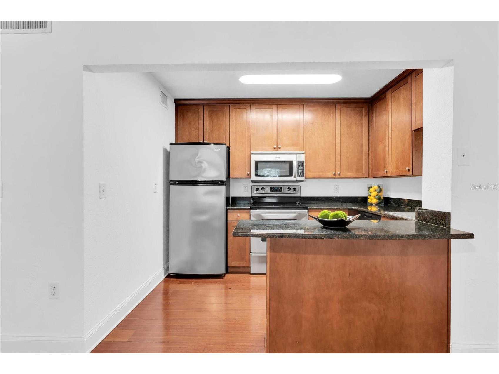 210 5th Avenue S #403 Saint Petersburg FL 33701 - TAMPA BAY TB8518600 image13