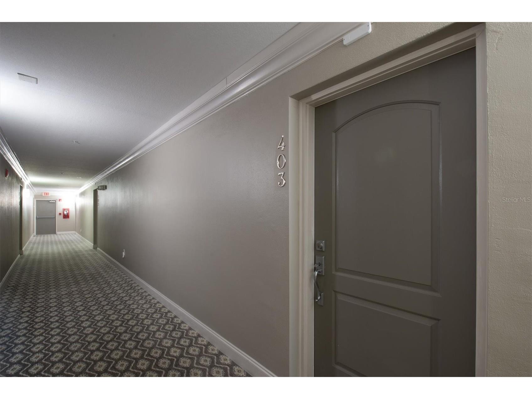 210 5th Avenue S #403 Saint Petersburg FL 33701 - TAMPA BAY TB8518600 image21