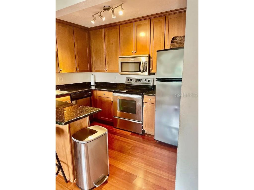 210 5th Avenue S #407 Saint Petersburg FL 33701 U8194009 image1