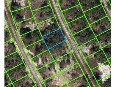 210 Blue Sky Drive Lake Placid FL 33852 OM653300 image1