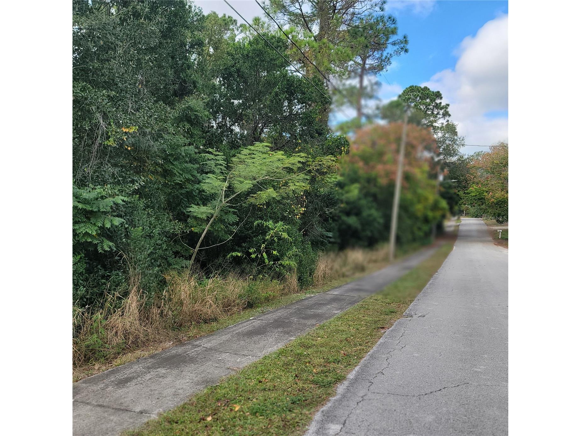 210 Buena Vista Street Debary FL 32713 O6359401 image1