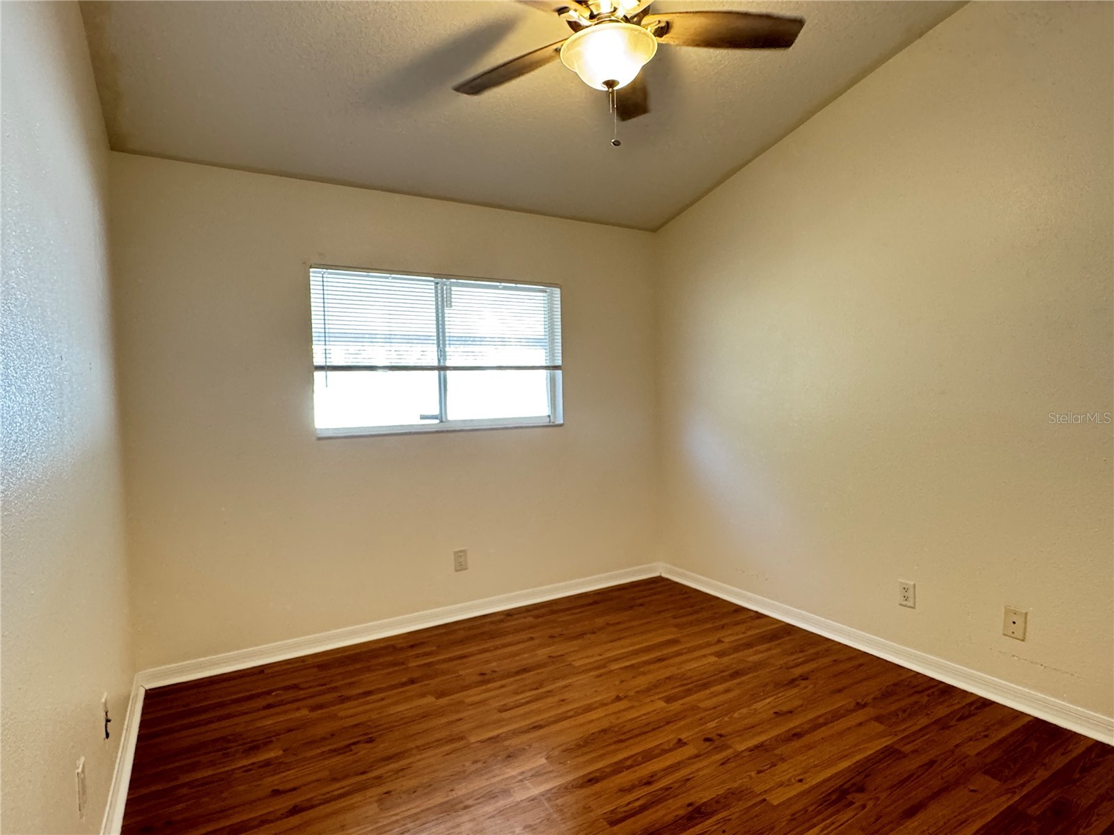 210 Chardonnay Place Valrico FL 33594 TB8481574 image24