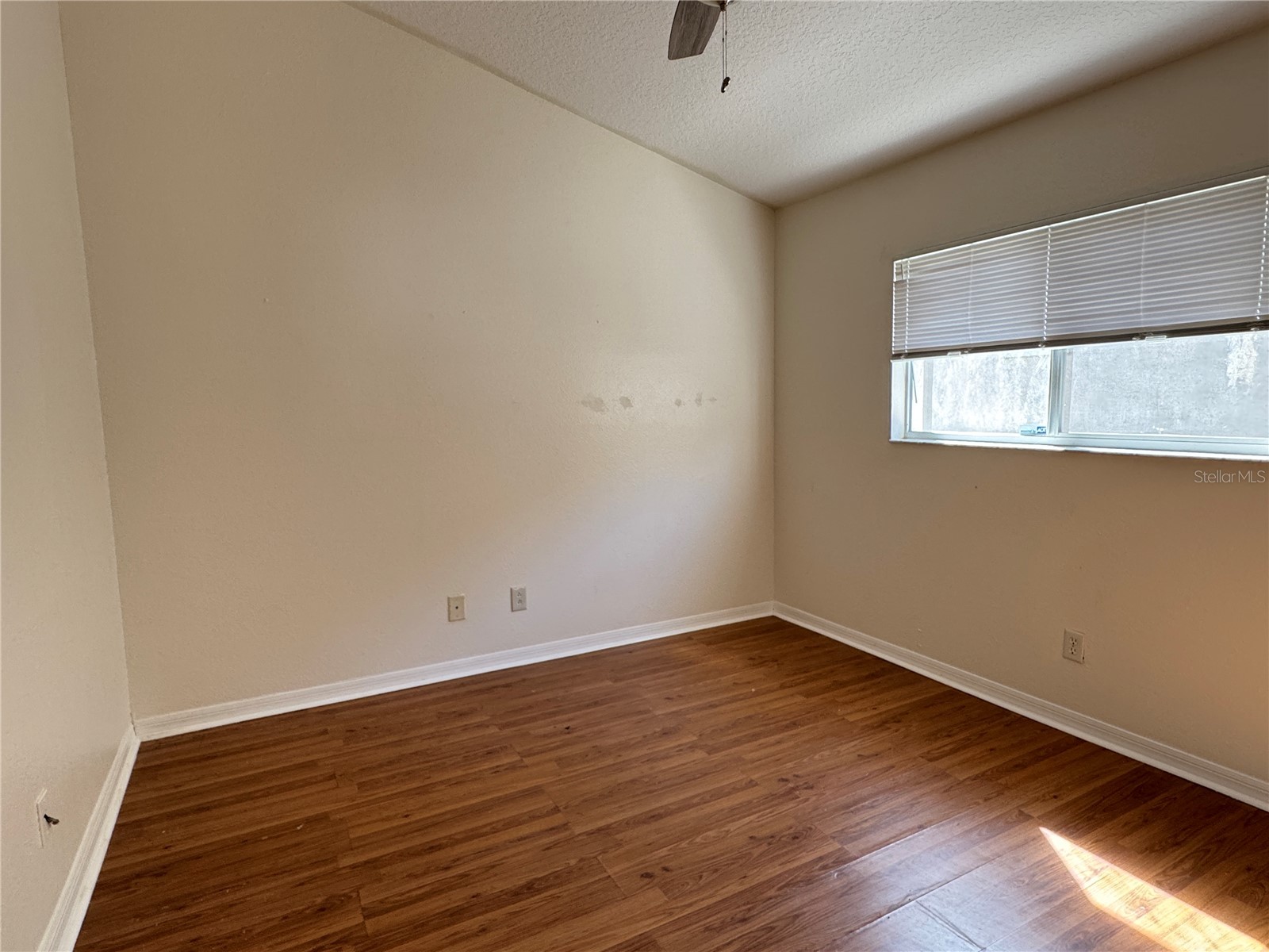 210 Chardonnay Place Valrico FL 33594 TB8481574 image30