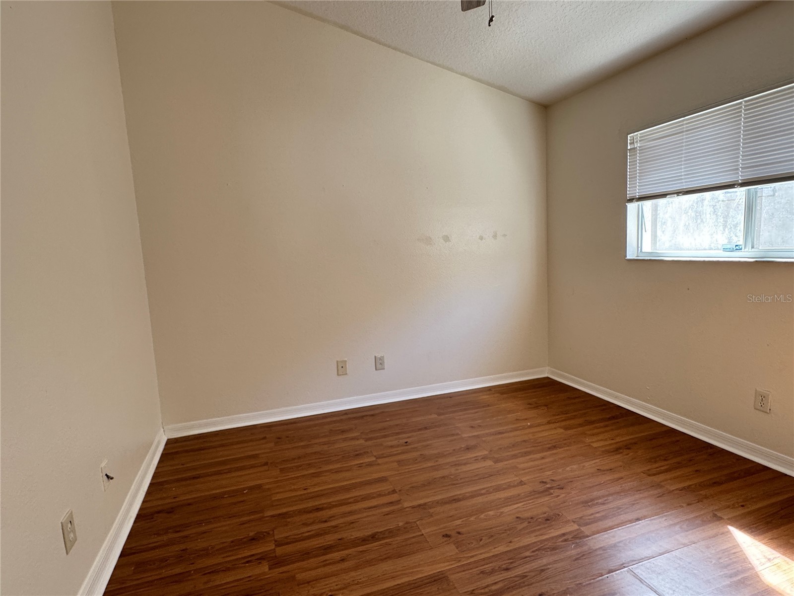 210 Chardonnay Place Valrico FL 33594 TB8481574 image31