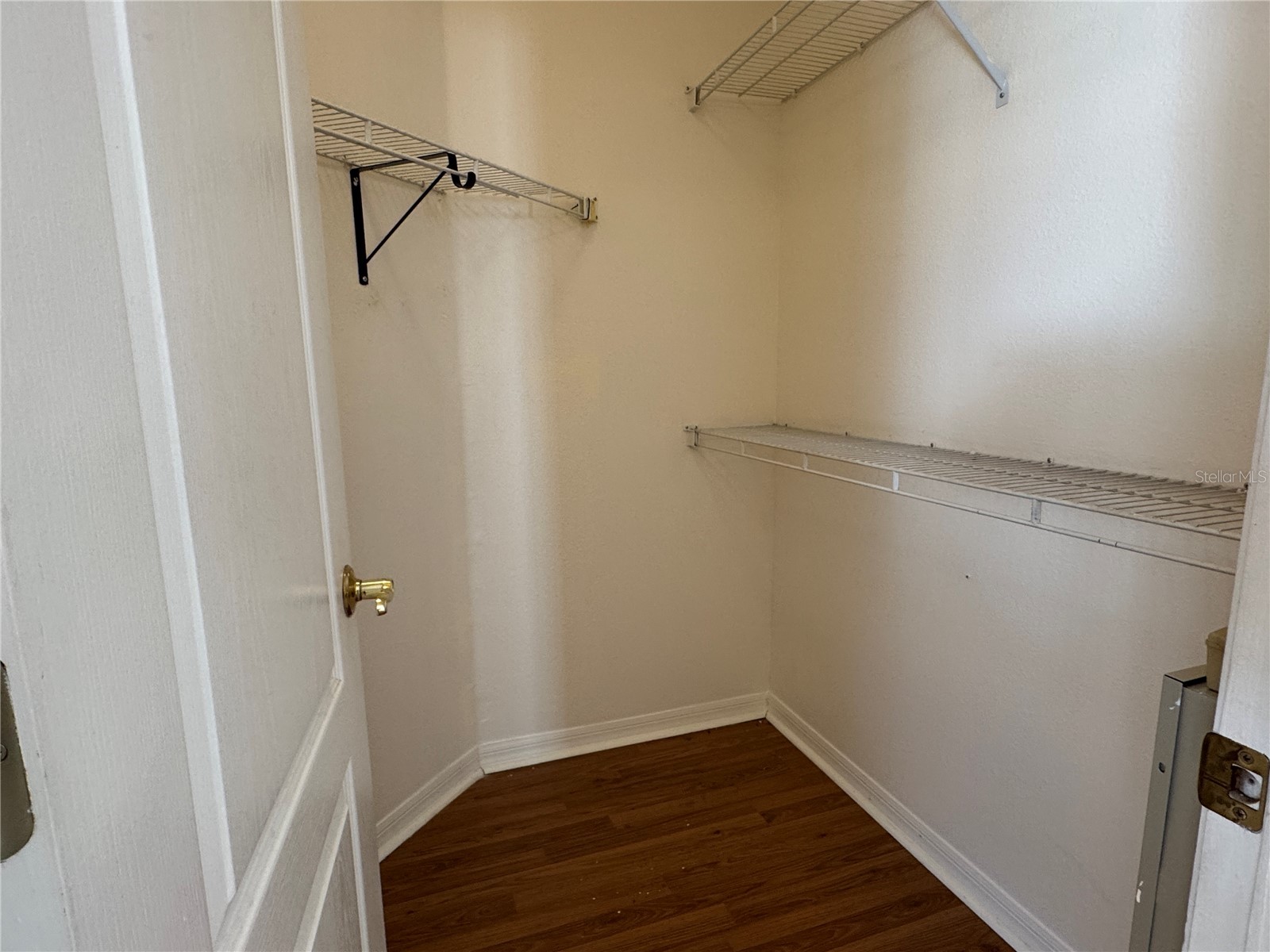 210 Chardonnay Place Valrico FL 33594 TB8481574 image34