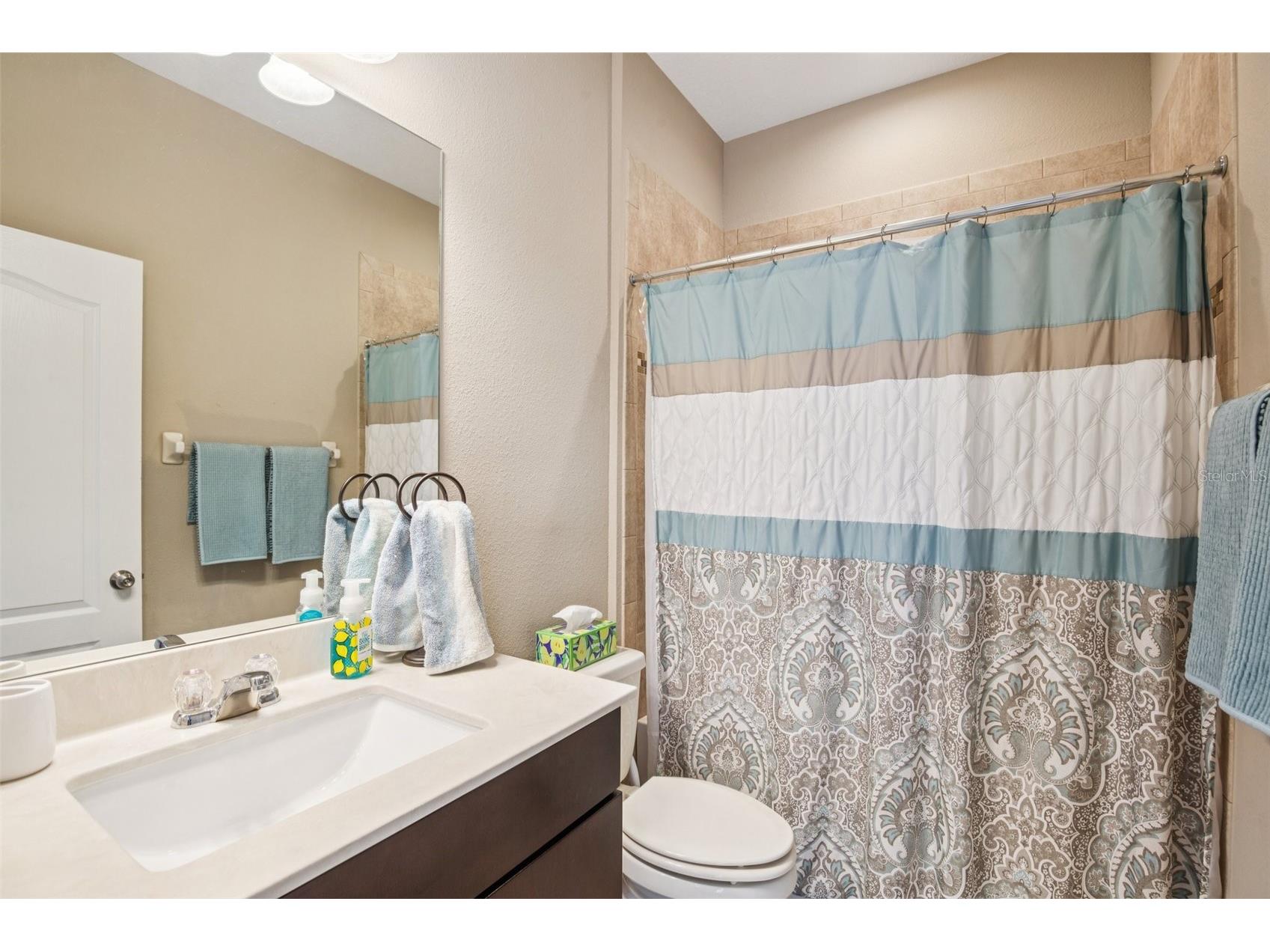 210 Dakota Hill Drive Seffner FL 33584 TB8495405 image15