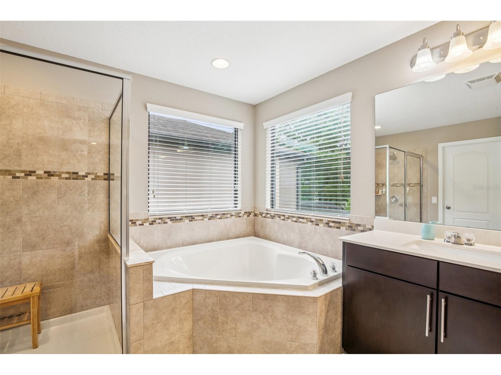 210 Dakota Hill Drive Seffner FL 33584 TB8495405 image30