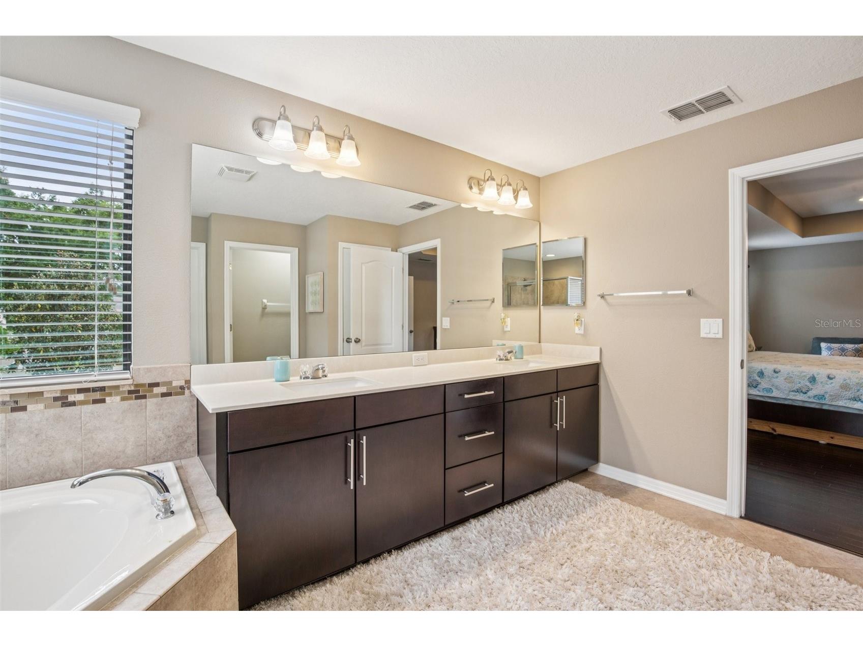 210 Dakota Hill Drive Seffner FL 33584 TB8495405 image31