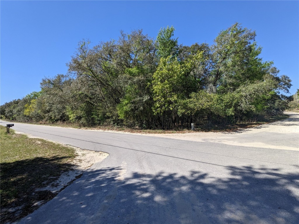 210 E Pilar Street Hernando FL 34442 U8194666 image1