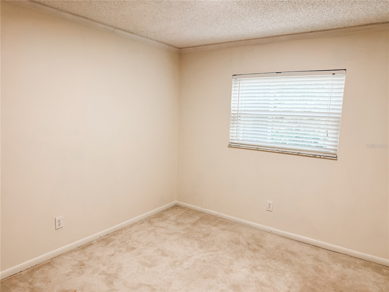 210 E Sweetwater Creek Drive Longwood FL 32779 - LAKE BRANTLEY AND WEKIVA RIVER O6402314 image21