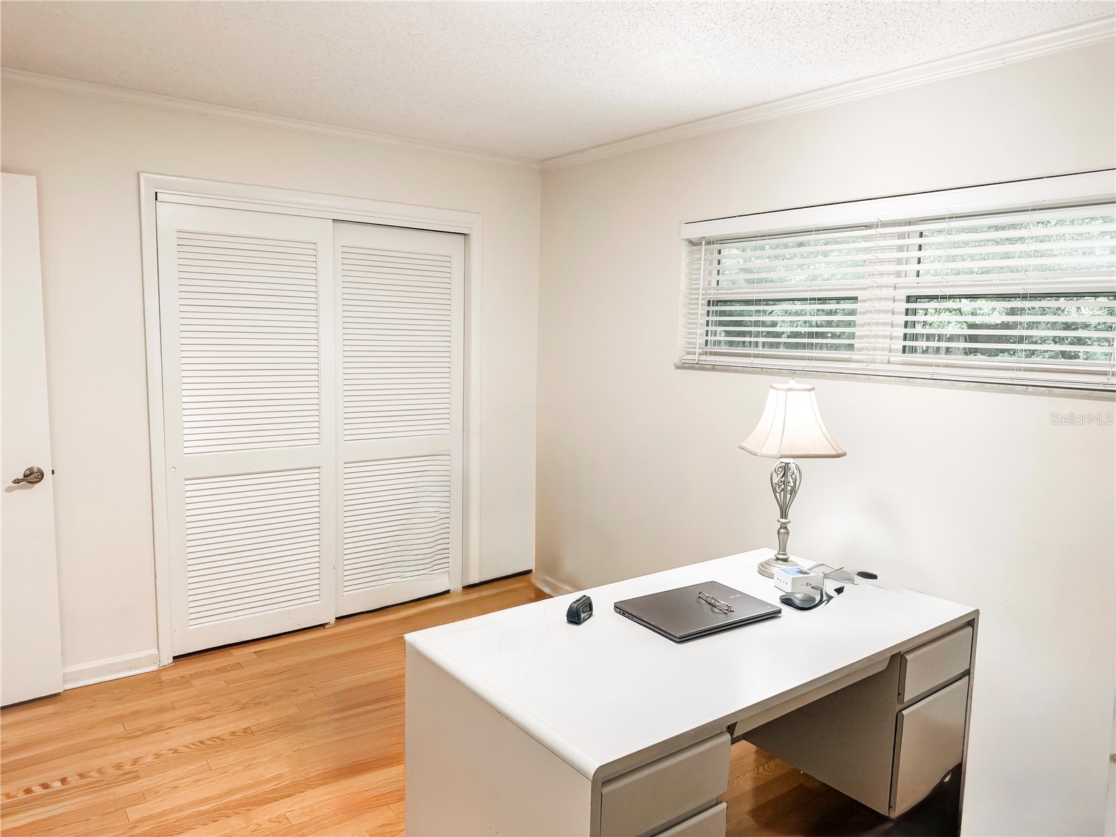 210 E Sweetwater Creek Drive Longwood FL 32779 - LAKE BRANTLEY AND WEKIVA RIVER O6402314 image22