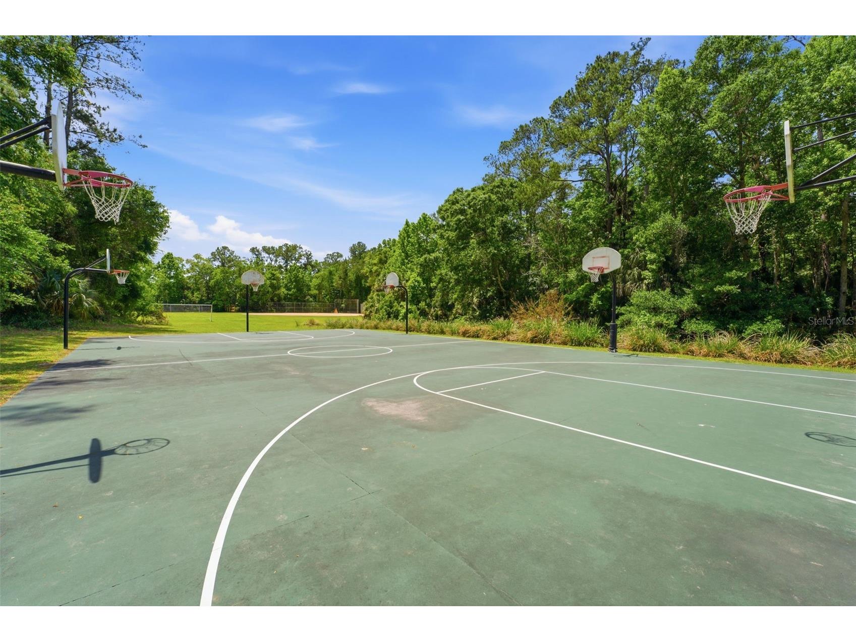 210 E Sweetwater Creek Drive Longwood FL 32779 - LAKE BRANTLEY AND WEKIVA RIVER O6402314 image57