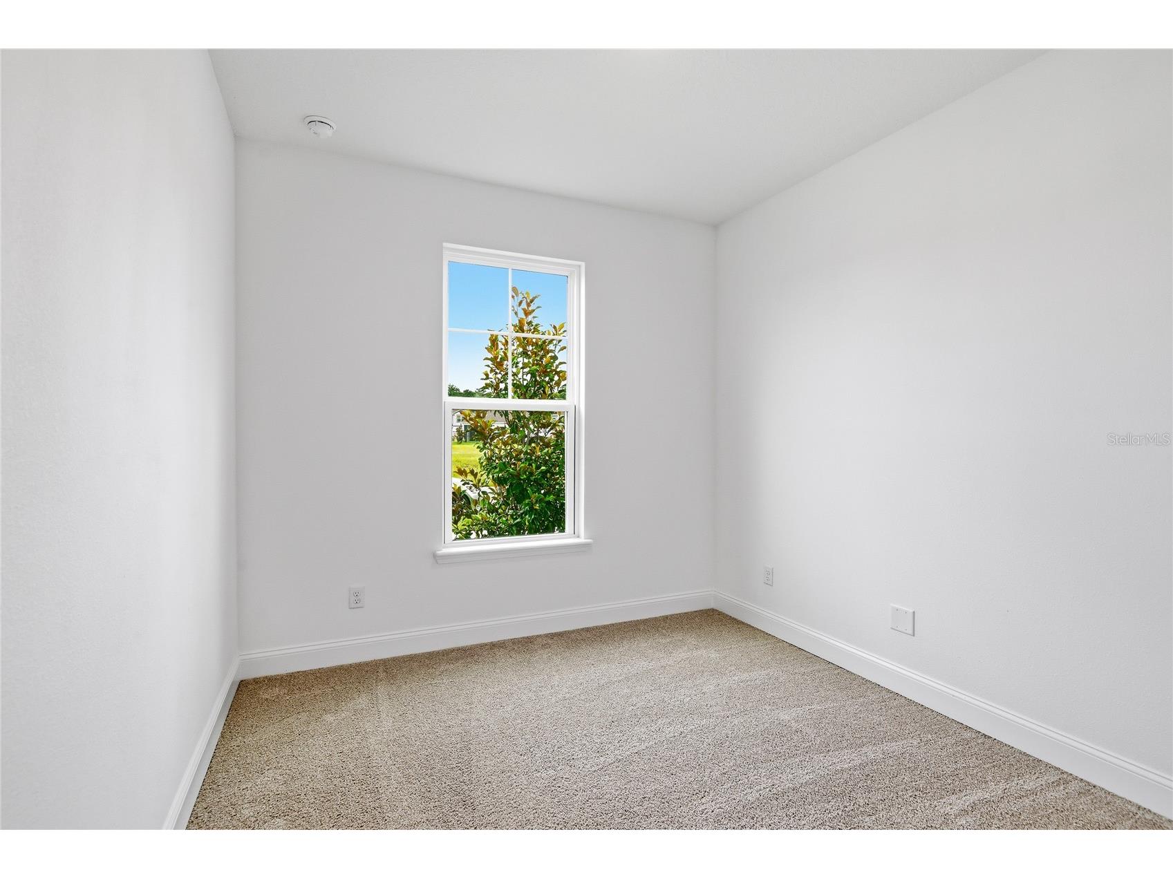 210 Enclave Avenue Palm Coast FL 32164 S5149916 image12