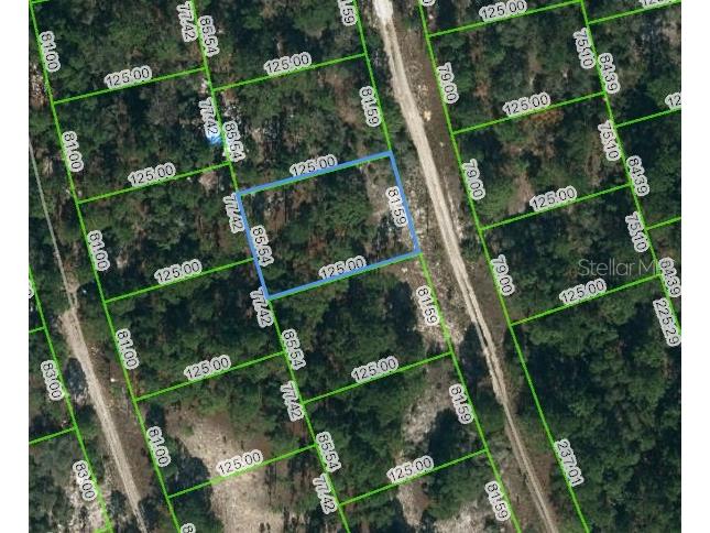 210 Fascination Drive Lake Placid FL 33852 OM623432 image1