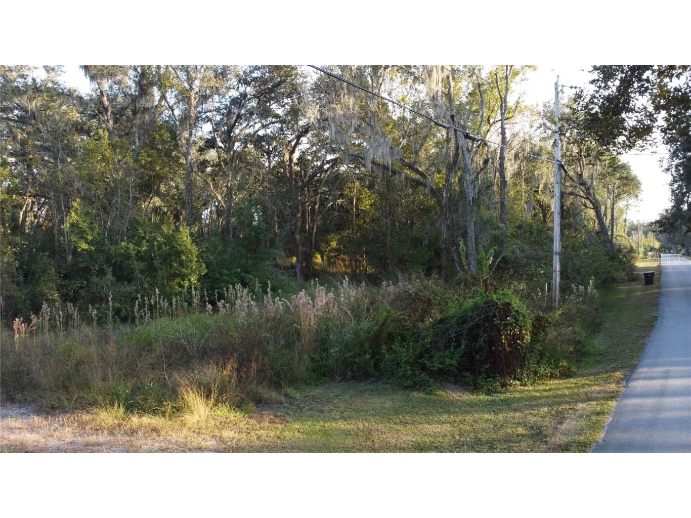 210 Fields Road Lakeland FL 33801 S5139080 image4