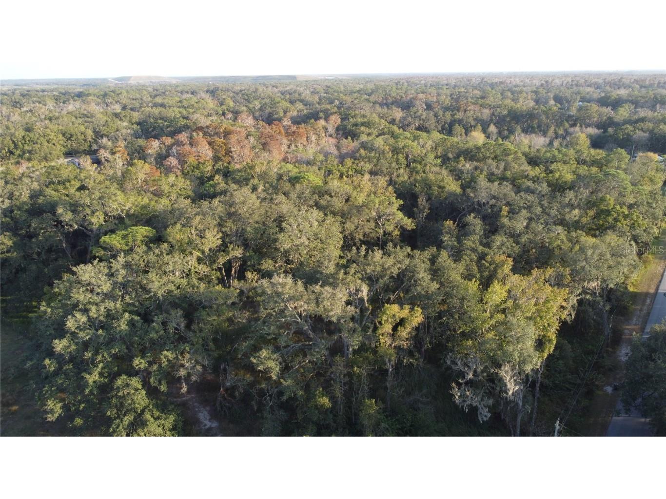 210 Fields Road Lakeland FL 33801 S5139080 image5