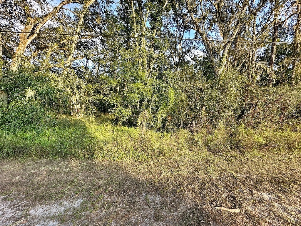 210 Fields Road Lakeland FL 33801 S5139080 image9