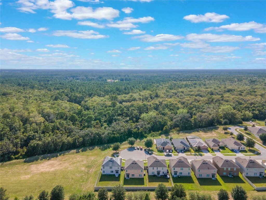 210 Lazy Willow Drive Davenport FL 33897 O6332476 image43