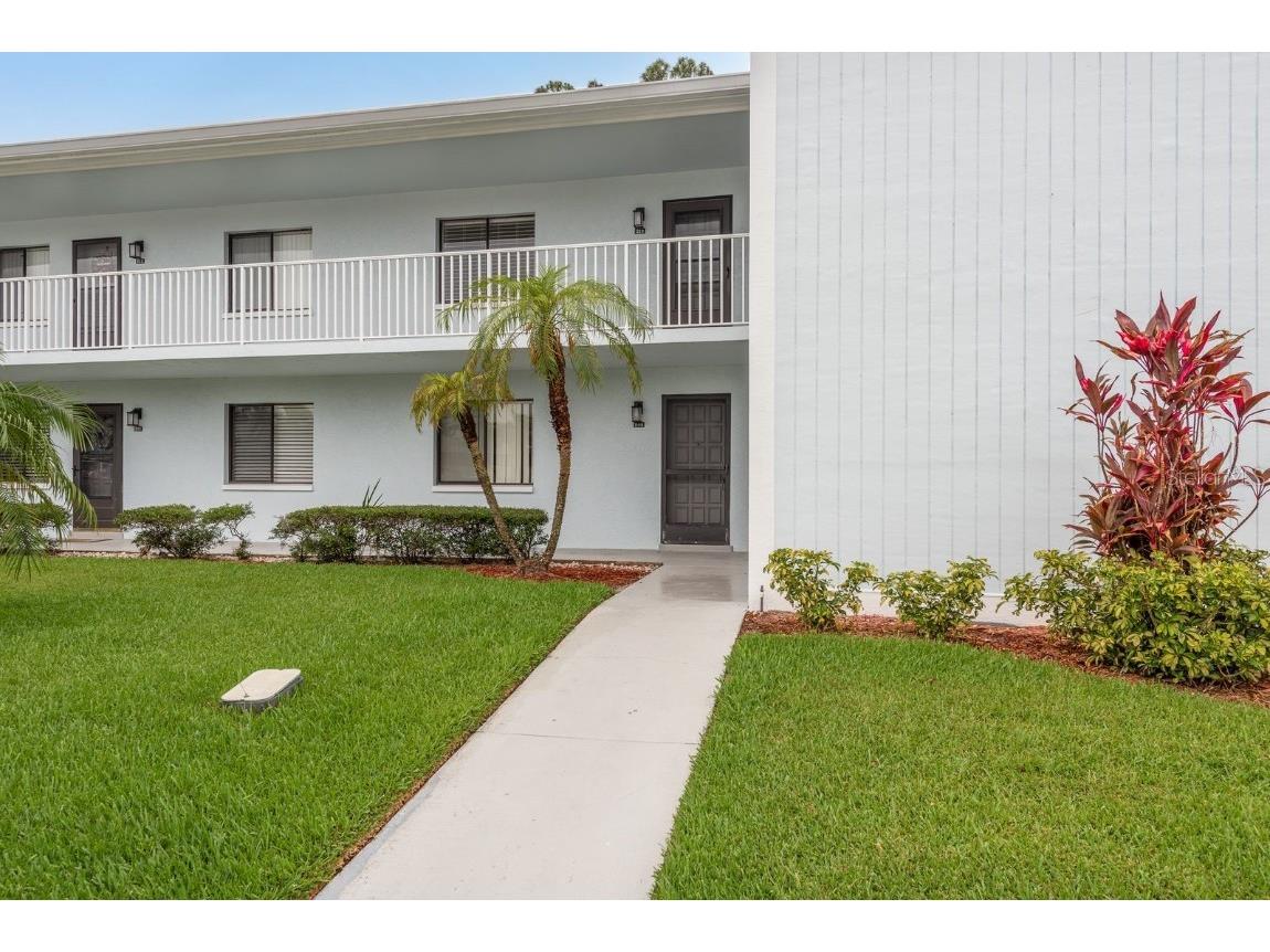 210 Martha Lane #210 Oldsmar FL 34677 TB8392818 image1