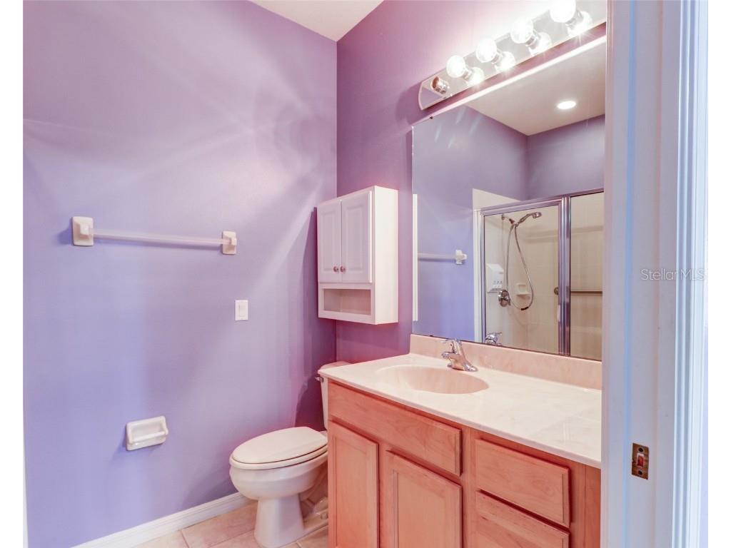 210 Mystic Falls Drive Apollo Beach FL 33572 TB8448240 image26