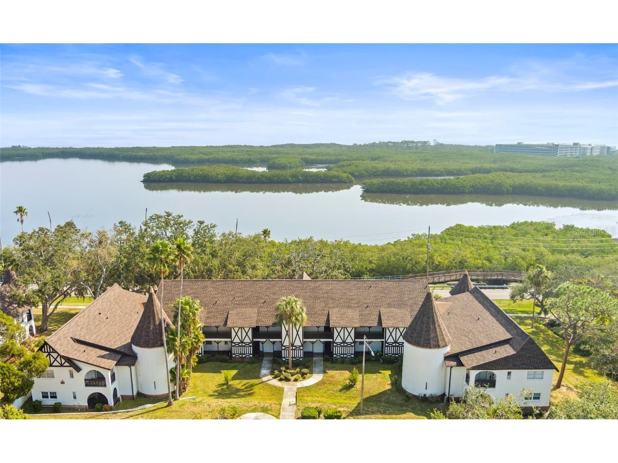 210 N Bayshore Boulevard #202 Clearwater FL 33759 TB8367460 image1