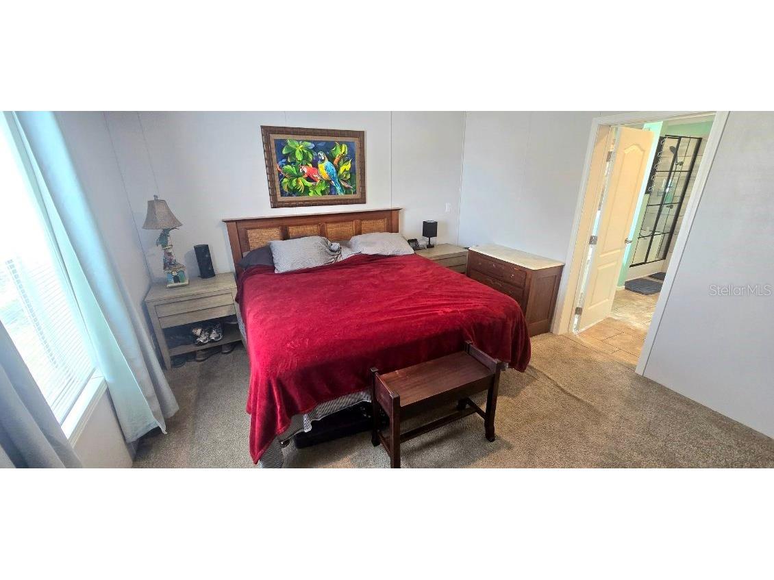 210 Philadelphia Court #17 Palm Harbor FL 34684 TB8520994 image13