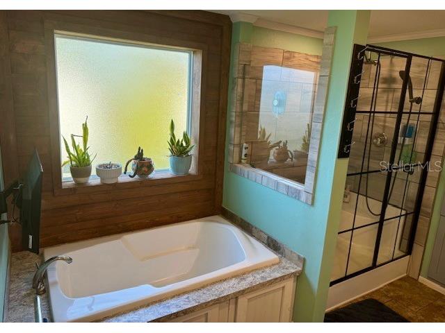 210 Philadelphia Court #17 Palm Harbor FL 34684 TB8520994 image17