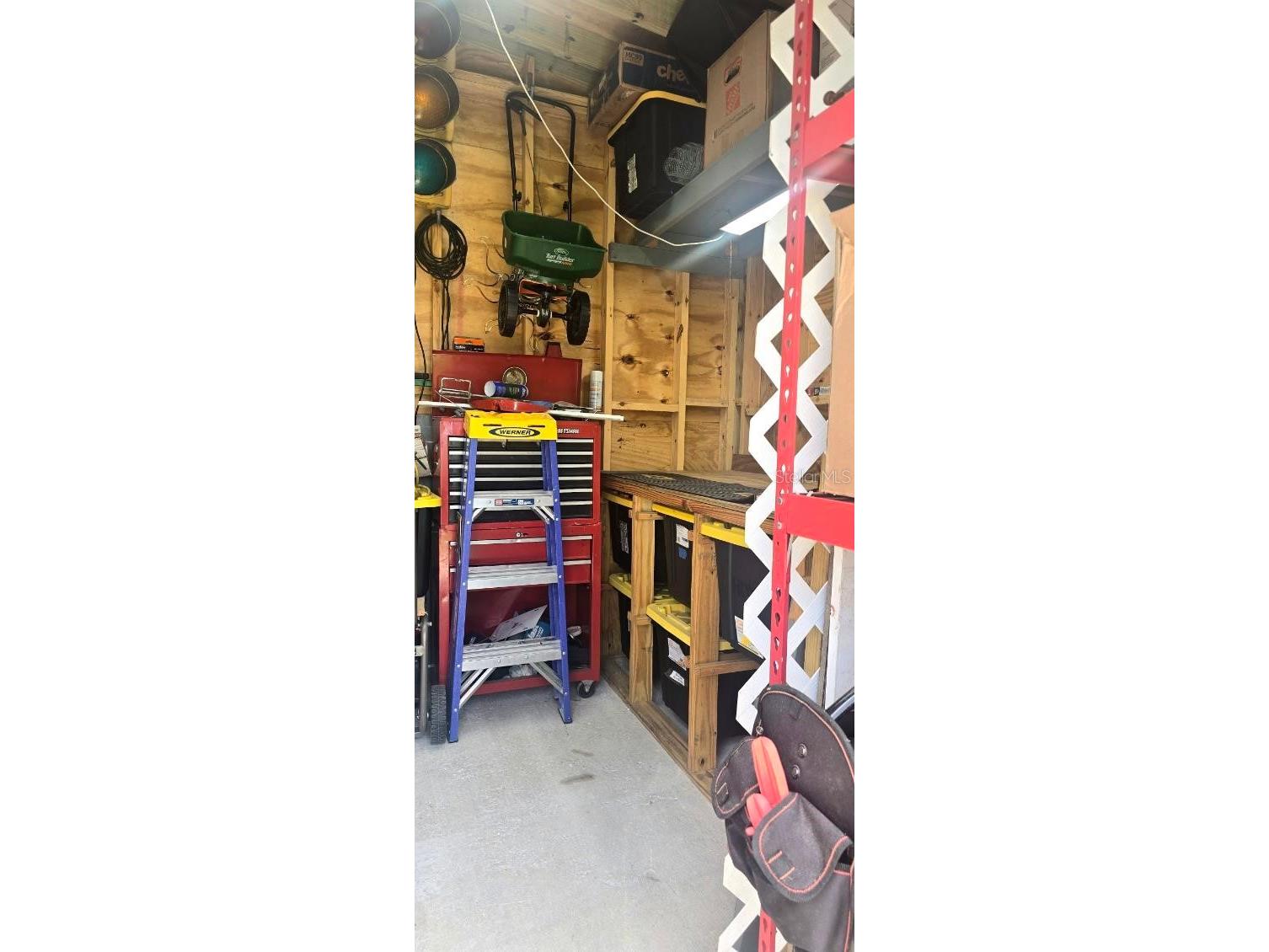 210 Philadelphia Court #17 Palm Harbor FL 34684 TB8520994 image24