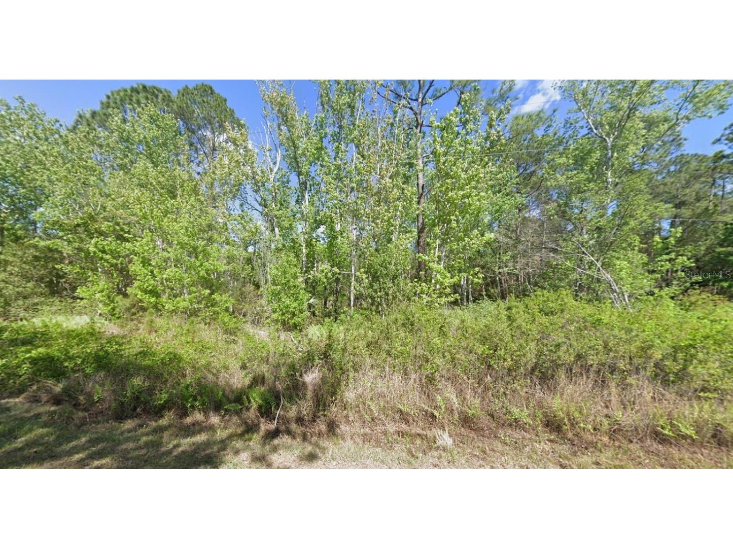 210 Redwood Boulevard Georgetown FL 32139 FC312716 image1