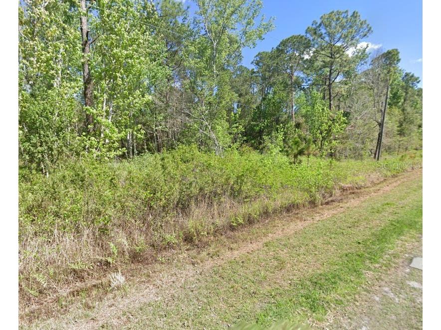 210 Redwood Boulevard Georgetown FL 32139 FC312716 image3