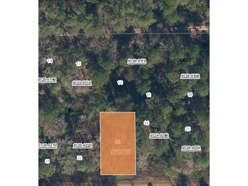 210 Redwood Boulevard Georgetown FL 32139 FC312716 image4