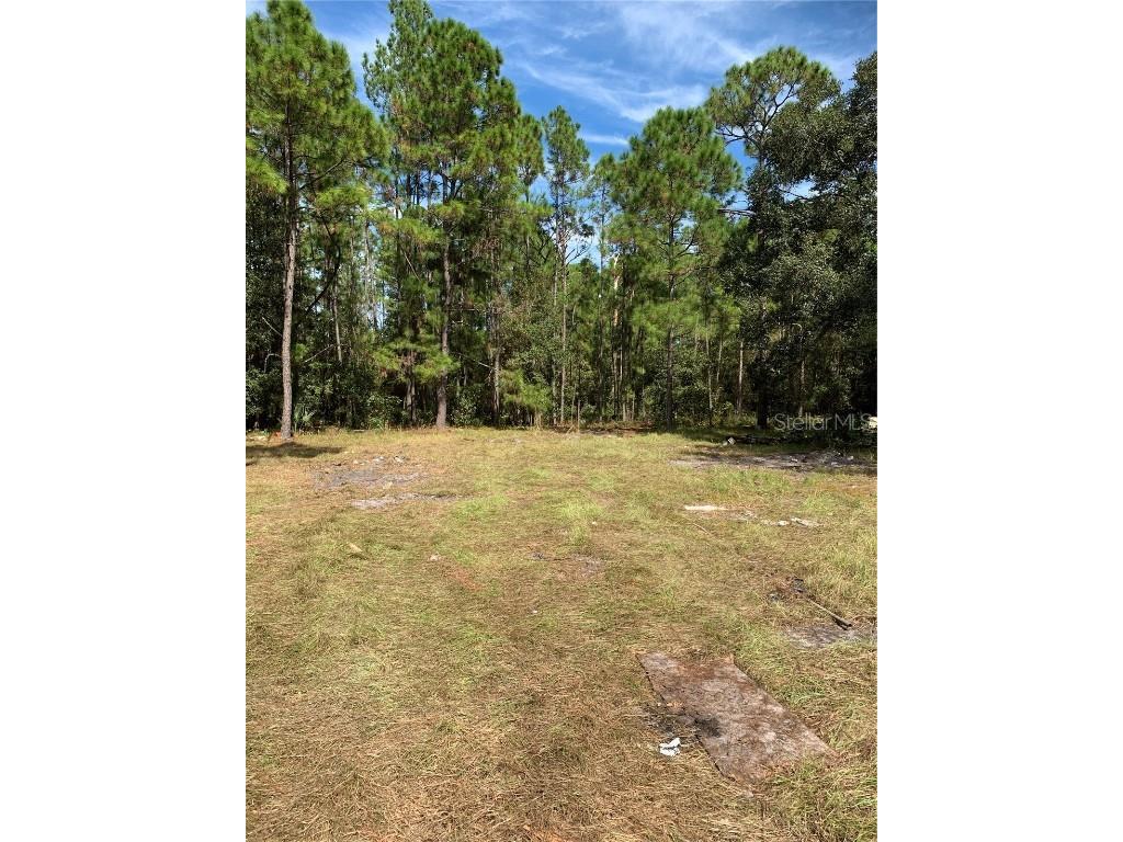 210 Schofield Lane Davenport FL 33837 P4919650 image1
