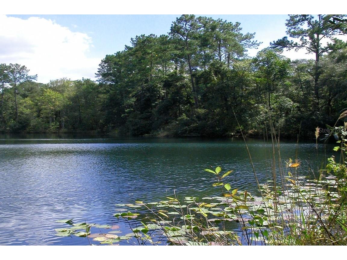 210 SE 1st Street Georgetown FL 32139 - LAKE GEORGE AND ST JOHNS RIVER O6352906 image13