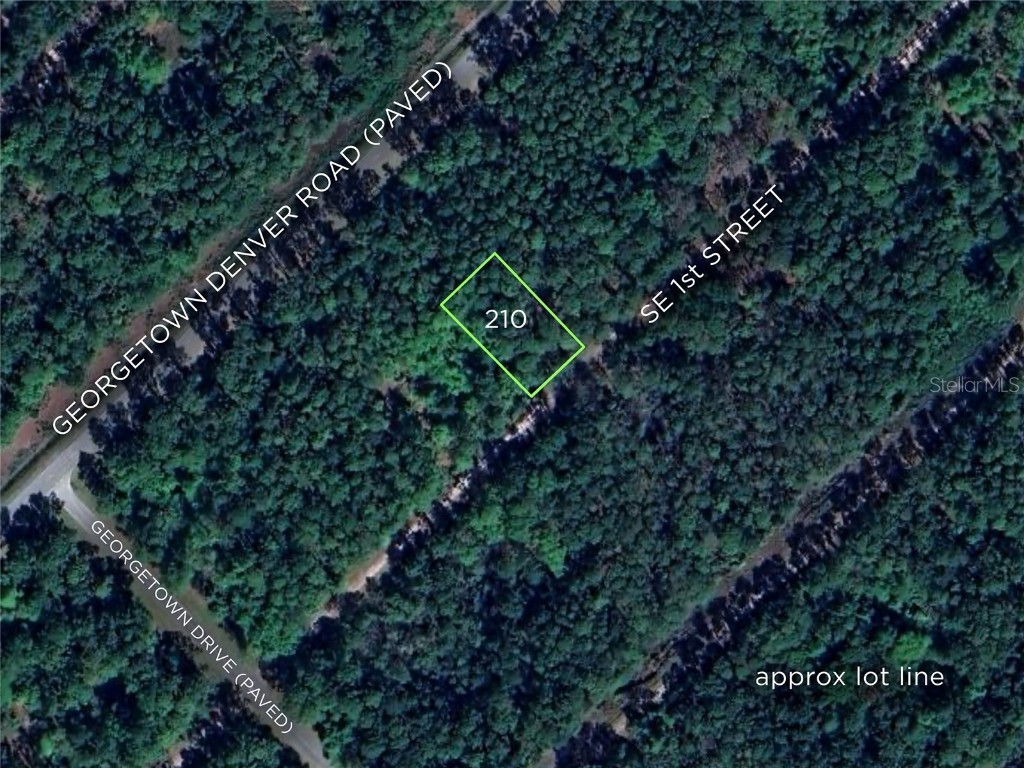 210 SE 1st Street Georgetown FL 32139 - LAKE GEORGE AND ST JOHNS RIVER O6352906 image2