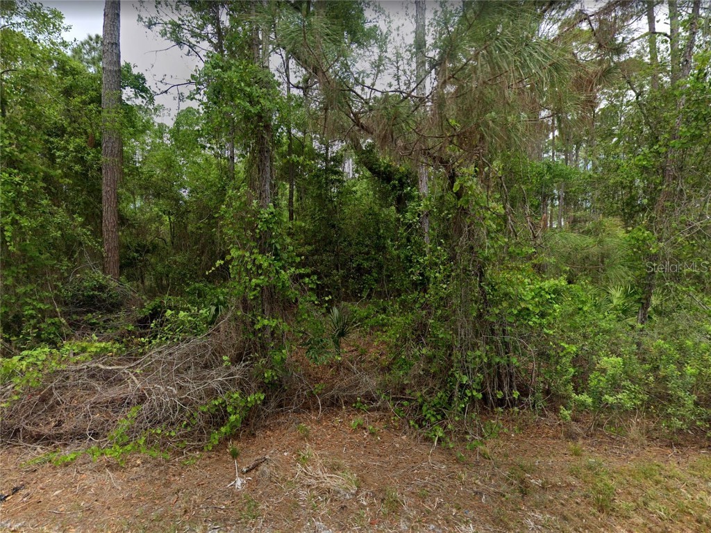 210 SE 1st Street Georgetown FL 32139 - LAKE GEORGE AND ST JOHNS RIVER O6352906 image6
