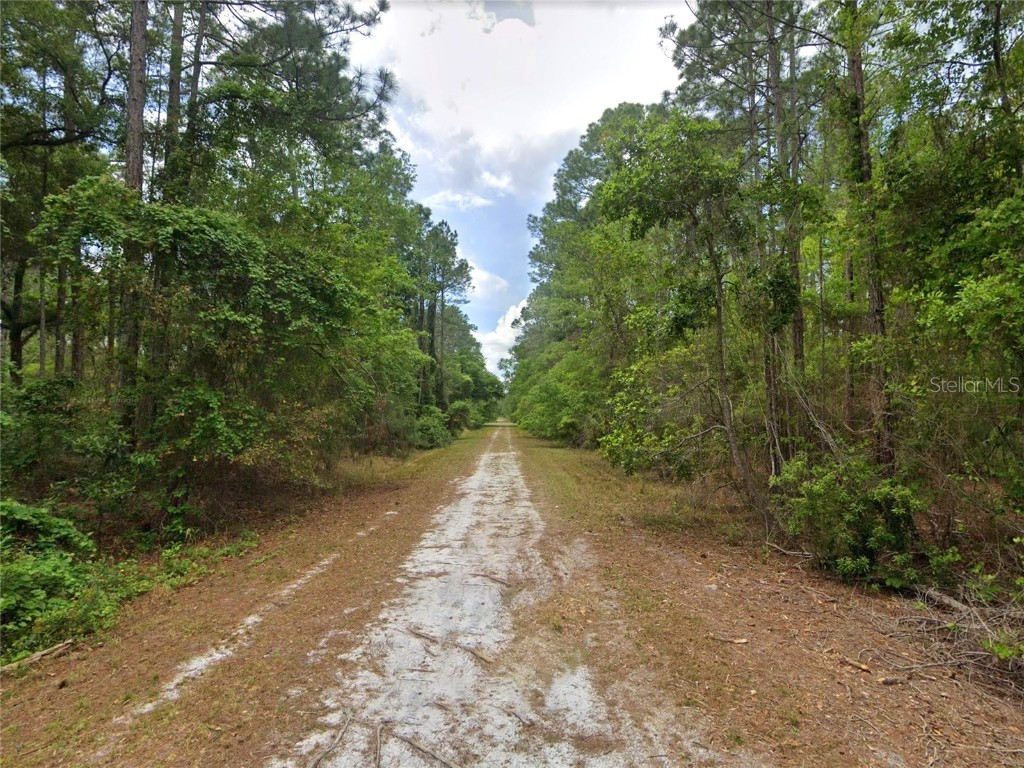 210 SE 1st Street Georgetown FL 32139 - LAKE GEORGE AND ST JOHNS RIVER O6352906 image9