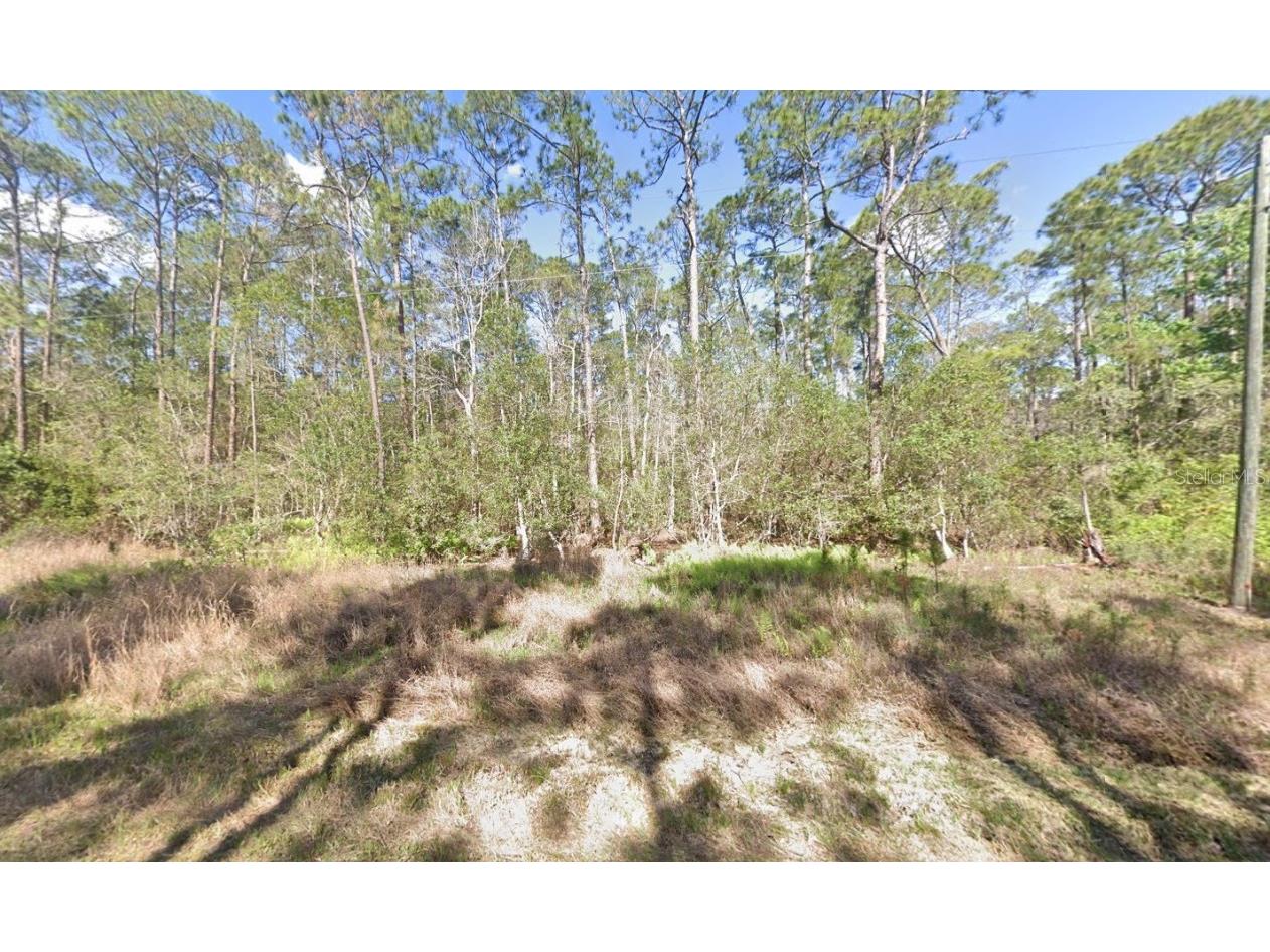 210 SE 2nd Street Georgetown FL 32139 OK225445 image5