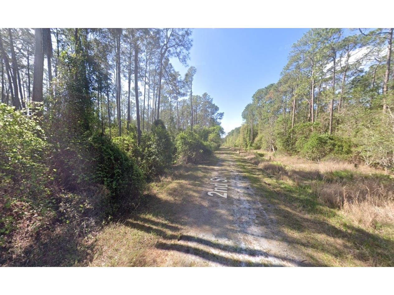 210 SE 2nd Street Georgetown FL 32139 OK225445 image6