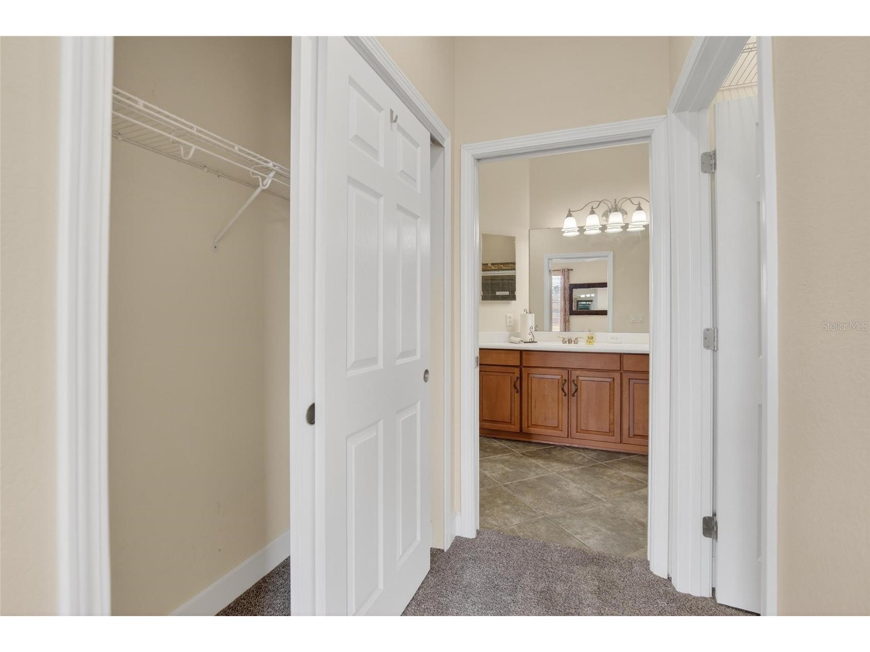 210 Shell Falls Drive Apollo Beach FL 33572 TB8488196 image29