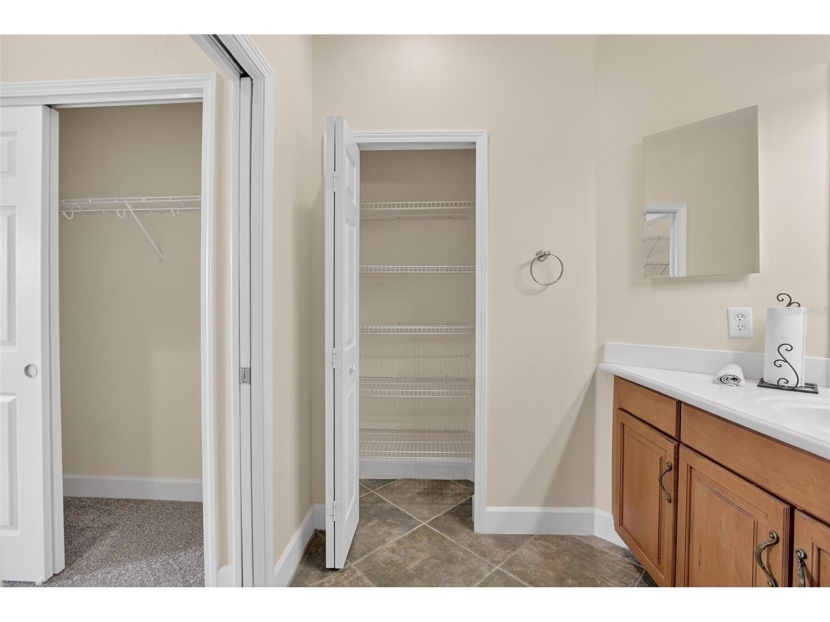 210 Shell Falls Drive Apollo Beach FL 33572 TB8488196 image32