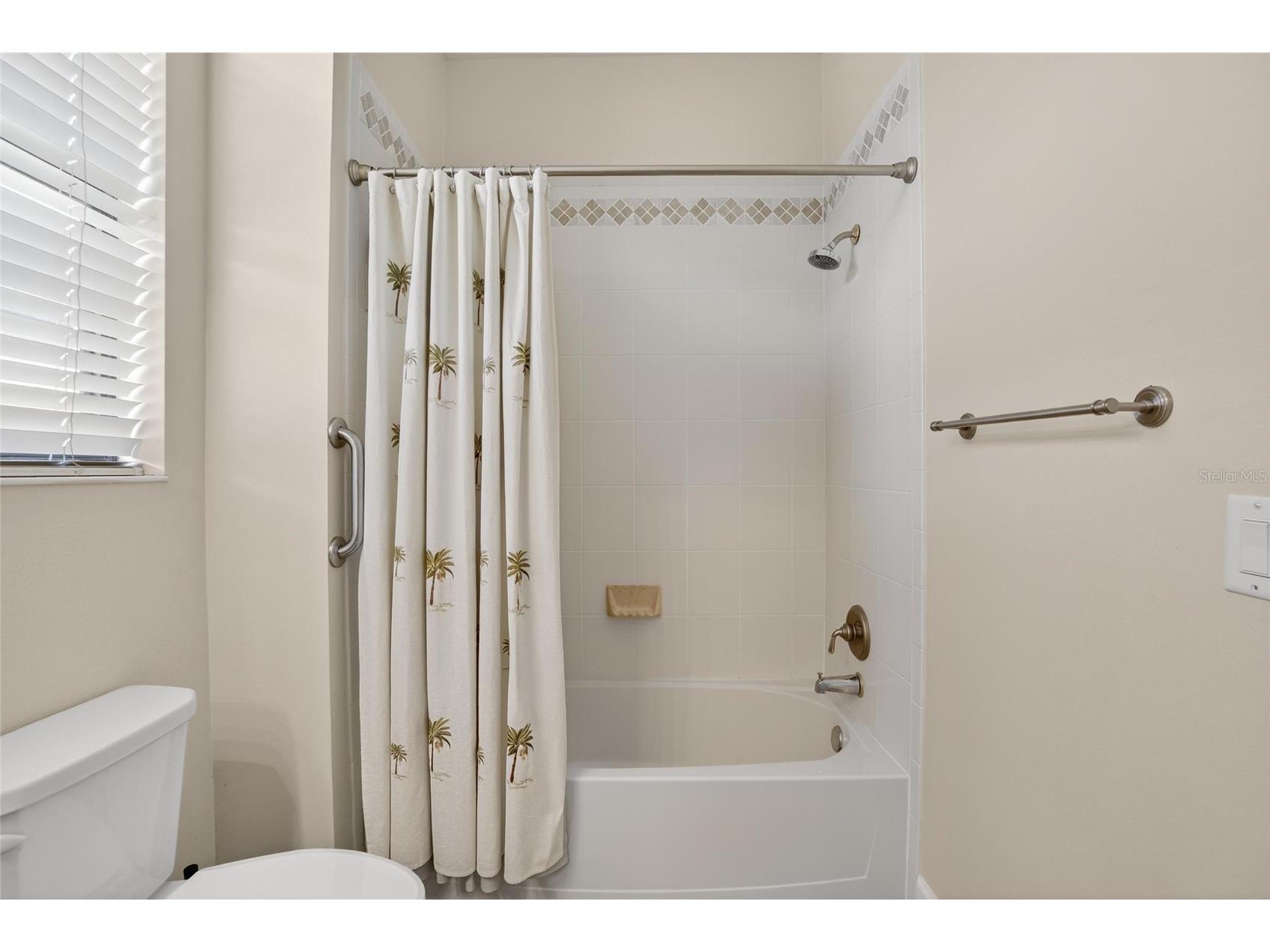 210 Shell Falls Drive Apollo Beach FL 33572 TB8488196 image43